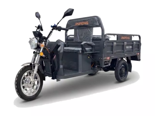 Elektro-Lastendreirad AMR 300